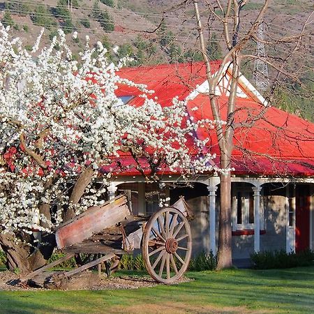 Hartley Homestead Boutique Bed & Breakfast Клайд Экстерьер фото